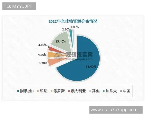 IG在世界冠军杯中的速度表现分析与点评